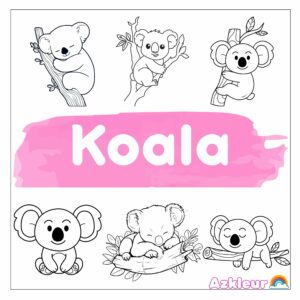 Koala Boyama