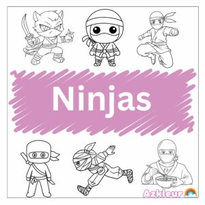 Ninja Boyama