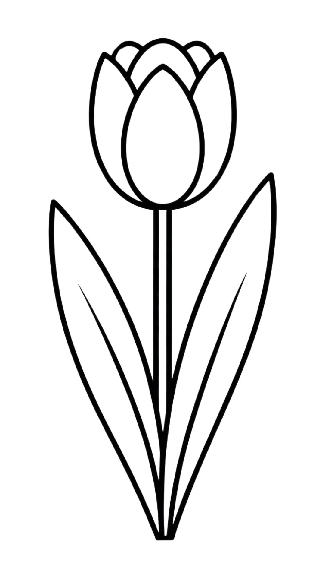 boyama sayfası lale