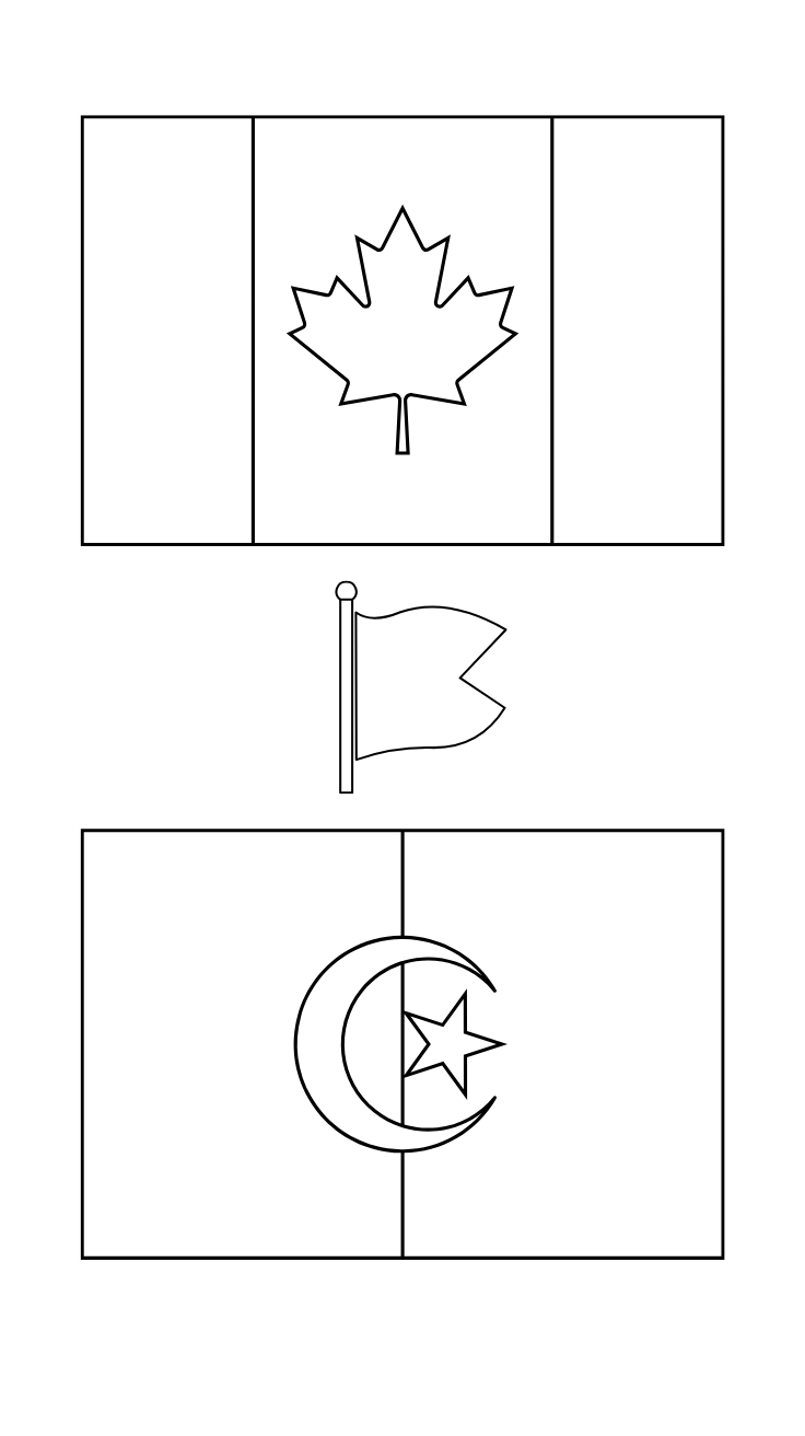 türk bayrağı yüz boyama